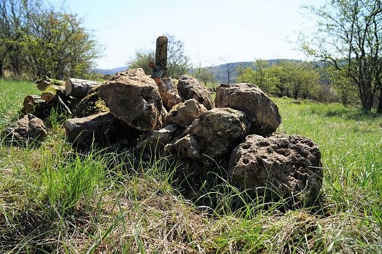 Wohnzimmer f&uuml;r Eidechsen (Foto: WVN)