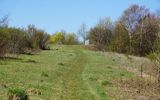Wanderweg auf dem Rainberg (Foto: WVN)