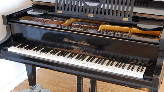 Es geht um dieses Instrument (Foto: R. Englert)