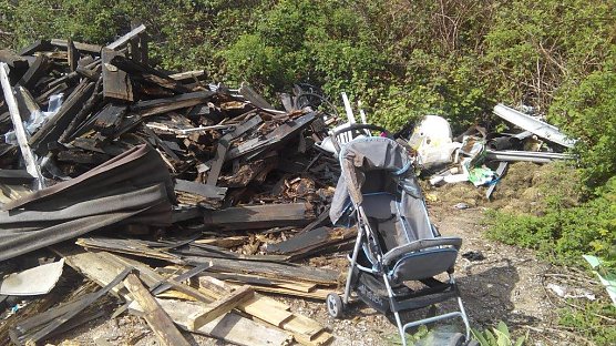 Gleich neben gr&uuml;nender Natur: Eine botanische Kostbarkeit, wie man sie nicht w&uuml;nscht. (Foto: Kurt Frank)