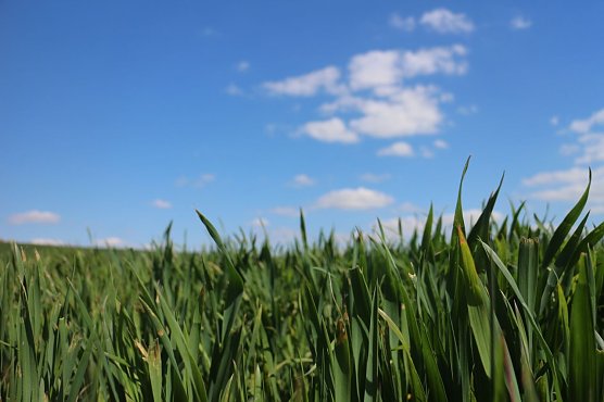 Wetterbild (Foto: Angelo Glashagel) Wetterbild (Foto: Angelo Glashagel)