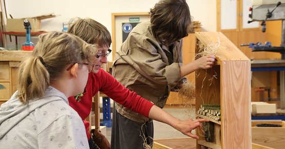Insektenhotel gebaut (Foto: Stadtverwaltung Nordhausen)