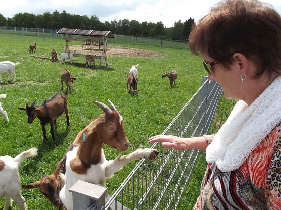 WB4 besuchte Sophienhof und die Ziegenalm (Foto: Thomas Leipold)