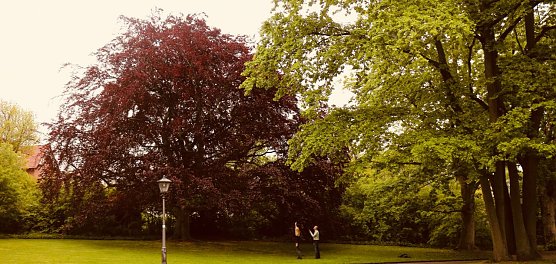 "Gartenkultur" - damals und heute, im Gespr&auml;ch mit den Machern dern "offenen G&auml;rten" (Foto: Angelo Glashagel)