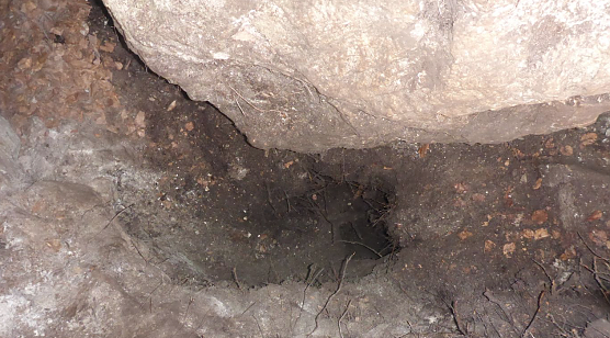 Alte Höhle am Kohnstein wiedergefunden (Foto: Tim Schäfer) Alte Höhle am Kohnstein wiedergefunden (Foto: Tim Schäfer)