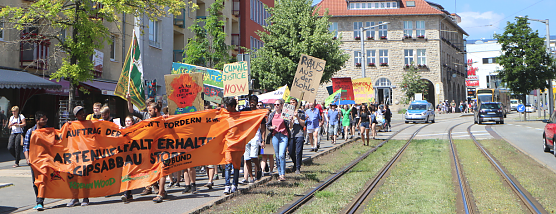 Fridays for Future Demonstration in Nordhausen (Foto: Angelo Glashagel)