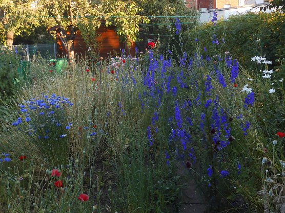 Wetterbild (Foto: Bernd Thielbeer)