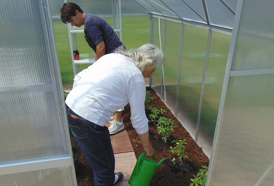 Arbeit im Gew&auml;chshaus (Foto: Danny Kais)