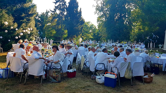 diner en blanc (Foto: Tom Landsiedel) diner en blanc (Foto: Tom Landsiedel)