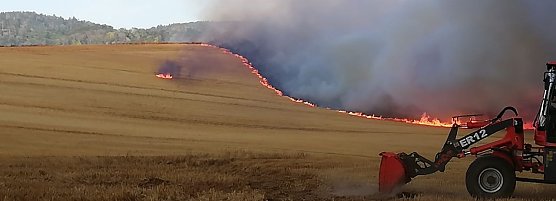 Brand eines Getreidefeldes (Foto: privat)