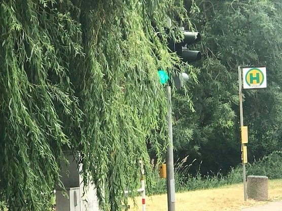 Ampel verdeckt (Foto: Stadtverwaltung Nordhausen)