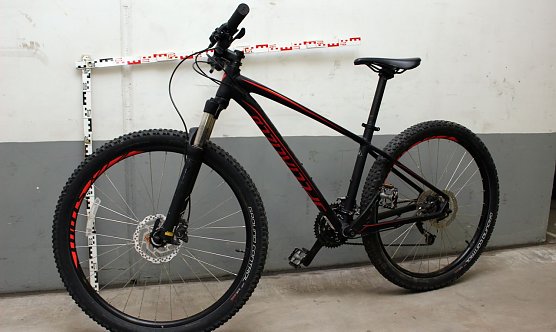Geklautes Fahrrad (Foto: Polizei)
