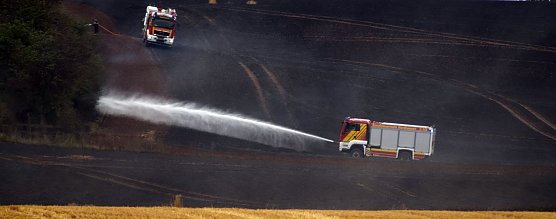 Fl&auml;chenbrand bei Hesserode (Foto: T. Pantosch)