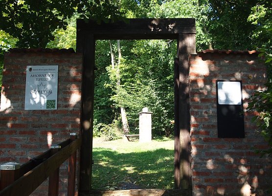 ahornpark (Foto: Dr. Judith Hesse)