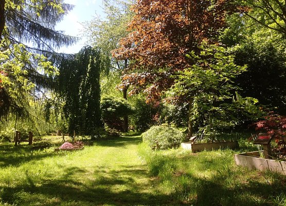 Ahornpark (Foto: Dr. Judith Hesse)