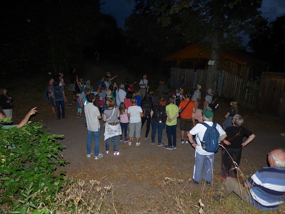 Fledermausnachtwanderung (Foto: Naturpark S&uuml;dharz)