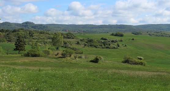 Blick von den Pfaffenk&ouml;pfen (Foto: LPV)