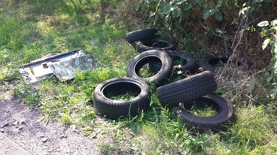 Große Sauerei an der Alten Leipziger Straße (Foto: privat) Große Sauerei an der Alten Leipziger Straße (Foto: privat)