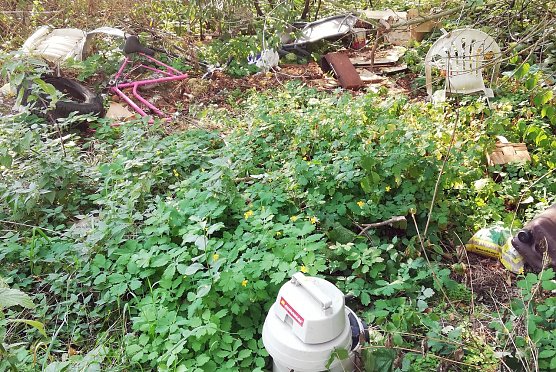 Das ist der Schatten (Foto: privat)