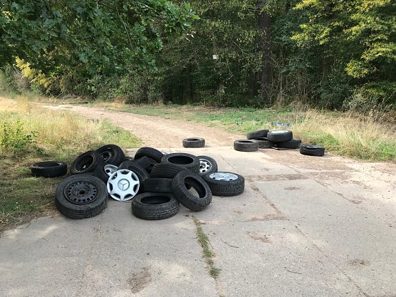 Am Fronder&ouml;der H&ouml;lzchen, einem Waldst&uuml;ck zwischen Gro&szlig;wechsungen und Wipperdorf, wurden vermutlich am 26./27. August ca. 30 Altreifen illegal abgelagert (Foto: Pressestelle Landratsamt Nordhausen)