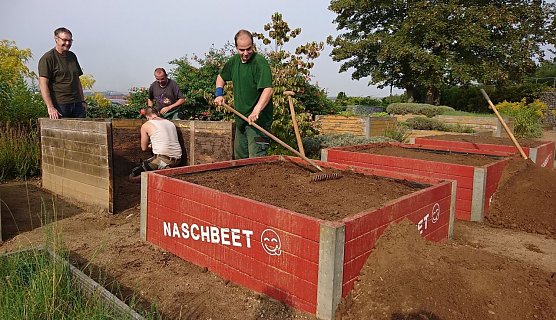 Naschbeete auf dem Petersberg (Foto: Stadtverwaltung Nordhausen)