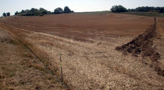 Blick auf das k&uuml;nftige Abbaufeld (Foto: Saint-Gobain Formula GmbH)