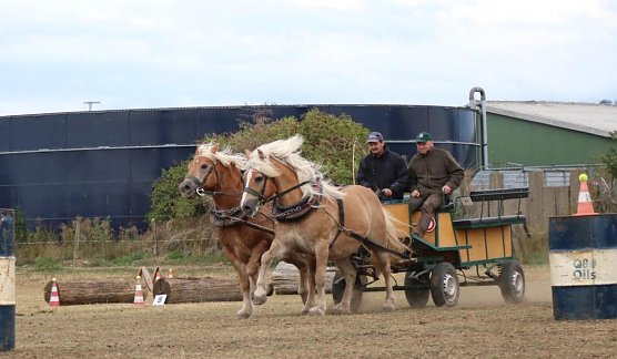 S&uuml;dharz Rallye (Foto: Zucht-, Reit- und Fahrverein Ebersburg/Herrmannsacker)