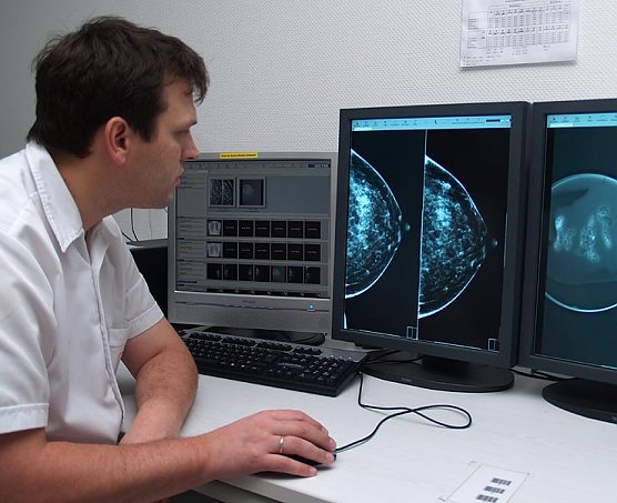 Dr. Malich bei der Auswertung von Daten (Foto: shk)