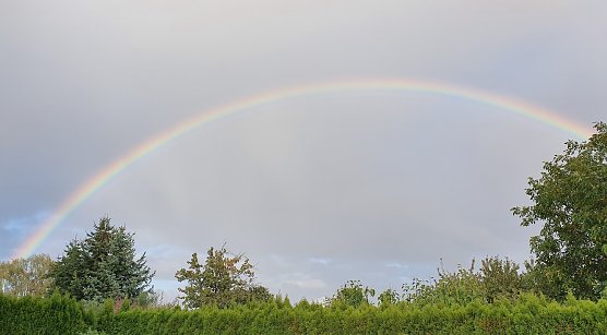 Herbst (Foto: Dirk Schwarze) Herbst (Foto: Dirk Schwarze)