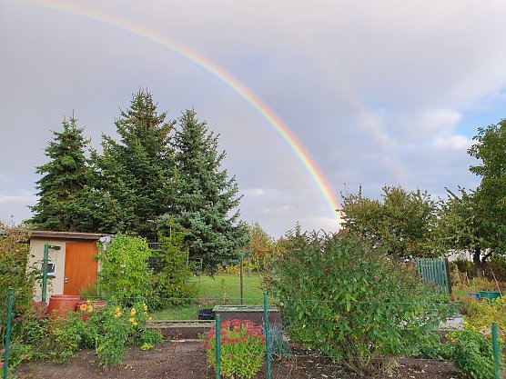 Herbststimmung (Foto: Dirk Schwarze) Herbststimmung (Foto: Dirk Schwarze)