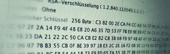 Zertifikat (Foto: VGF) Zertifikat (Foto: VGF)