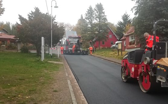 sophienhof (Foto: W.Jörgens) sophienhof (Foto: W.Jörgens)