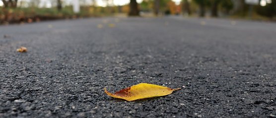 Bauarbeiten laufen planm&auml;&szlig;ig (Foto: N. Mattern)