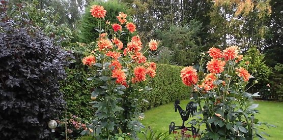 wetter (Foto: Rainer Berndt)