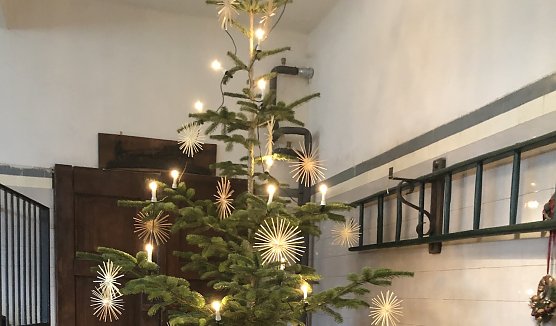 Advent im Park (Foto: Hannelore Haase) Advent im Park (Foto: Hannelore Haase)