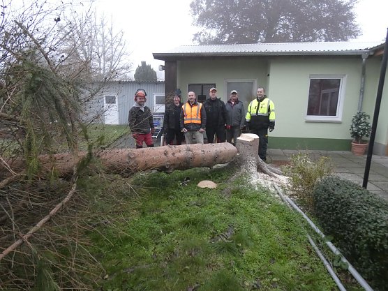 Kleingartenverein "Sparte Salza" spendete Baum f&uuml;r Nordh&auml;user Weihnachtsmarkt (Foto: Werner Schumann)