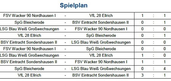 E-Junioren (Foto: NTKFA)