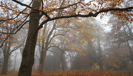 wetter (Foto: AGL) wetter (Foto: AGL)