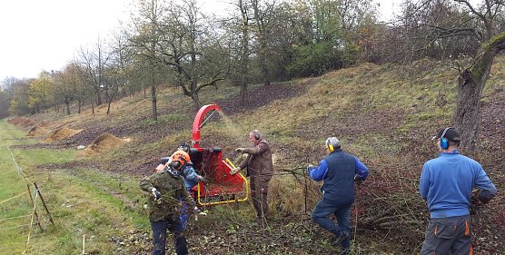 Wtreuobstwiese Ellrich (Foto: Anja Apel) Wtreuobstwiese Ellrich (Foto: Anja Apel)