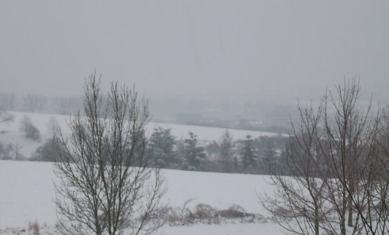 Schneefall Silvester (Foto: Karl-Heinz Herrmann) Schneefall Silvester (Foto: Karl-Heinz Herrmann)