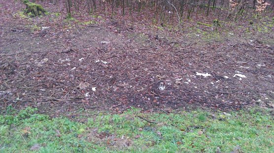 Geschredderte Leitpfosten am Stra&szlig;enrand  (Foto: privat)
