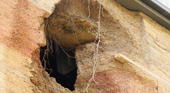 Schaden an der Lesserstiege (Foto: Angelo Glashagel)