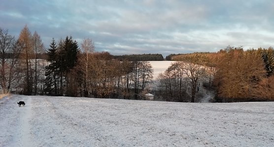 sophienhof (Foto: W.Jörgens) sophienhof (Foto: W.Jörgens)