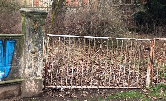 Zaun am Lindenhof (Foto: J.Prophet) Zaun am Lindenhof (Foto: J.Prophet)