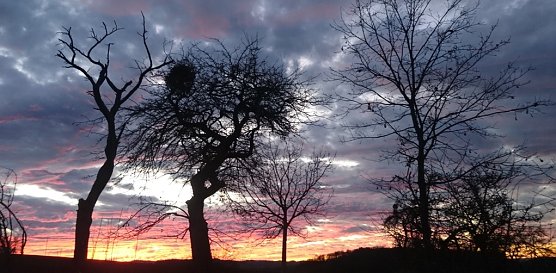 wetter (Foto: C.Burkert)