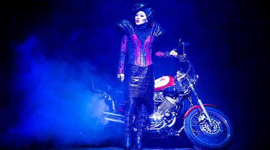 Die Königin der Nacht (Foto: M.Kneise) Die Königin der Nacht (Foto: M.Kneise)