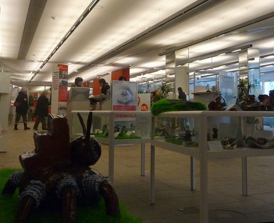 Krabbeln im Geldhaus (Foto: nnnz)