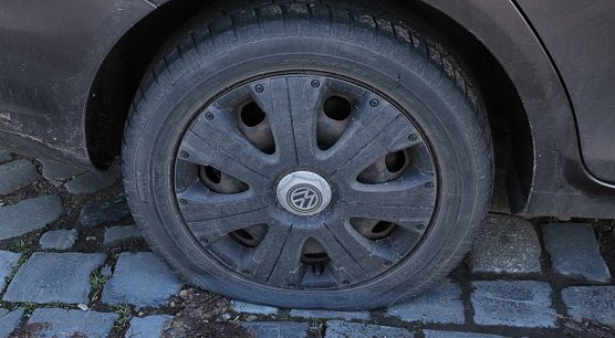 Zerstochen (Foto: S. Dietzel)