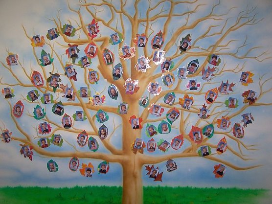 Alle sind wir Bl&auml;tter (Foto: privat)