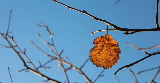 wetter (Foto: AGH) wetter (Foto: AGH)